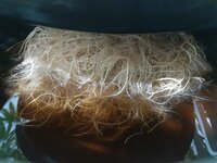 20260208_063201.jpg 20260208_063201.jpg