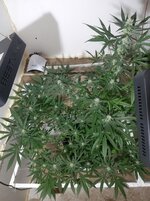 20260208_065839.jpg 20260208_065839.jpg