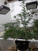 20260208_065824.jpg 20260208_065824.jpg