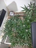 20260208_070139.jpg 20260208_070139.jpg