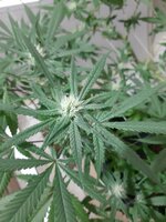 20260208_070115.jpg 20260208_070115.jpg