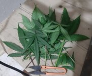 20260208_070049.jpg 20260208_070049.jpg