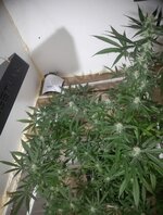 20260208_070842.jpg 20260208_070842.jpg