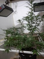 20260208_070829.jpg 20260208_070829.jpg