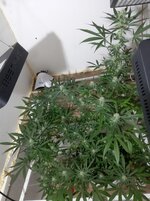 20260208_071052.jpg 20260208_071052.jpg