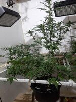 20260208_071041.jpg 20260208_071041.jpg