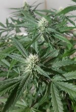 20260208_071029.jpg 20260208_071029.jpg