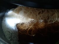 20260208_071017.jpg 20260208_071017.jpg