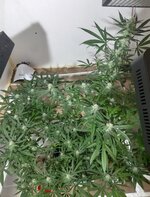 20260208_071542.jpg 20260208_071542.jpg