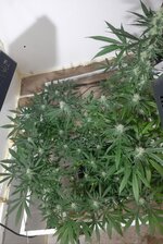 20260208_084300.jpg 20260208_084300.jpg