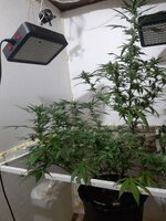 20260208_084244.jpg 20260208_084244.jpg