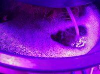 20260208_084150.jpg 20260208_084150.jpg