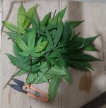 20250901_091052.jpg 20250901_091052.jpg