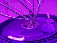 20260208_084205.jpg 20260208_084205.jpg