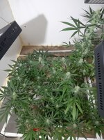 20260208_085916.jpg 20260208_085916.jpg