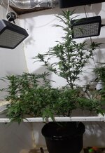 20260208_085854.jpg 20260208_085854.jpg