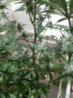 20260208_085905.jpg 20260208_085905.jpg