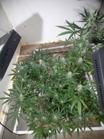 20260208_092449.jpg 20260208_092449.jpg