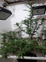 20260208_092436.jpg 20260208_092436.jpg