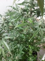 20260208_092423.jpg 20260208_092423.jpg