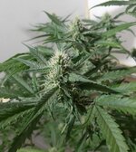 20260208_092336.jpg 20260208_092336.jpg