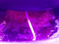 20260208_092406.jpg 20260208_092406.jpg