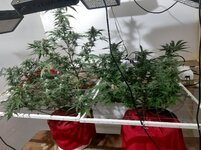 20260208_092353.jpg 20260208_092353.jpg