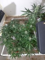 20260208_095852.jpg 20260208_095852.jpg