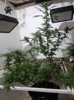 20260208_095830.jpg 20260208_095830.jpg