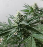 20260208_095817.jpg 20260208_095817.jpg