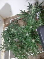 20260208_100300.jpg 20260208_100300.jpg