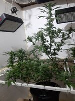 20260208_100246.jpg 20260208_100246.jpg