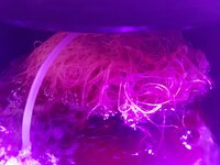 20260208_100232.jpg 20260208_100232.jpg