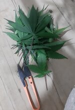 20260208_100204.jpg 20260208_100204.jpg