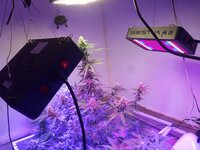 20260208_100216.jpg 20260208_100216.jpg