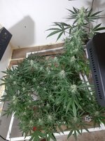 20260208_103016.jpg 20260208_103016.jpg