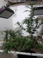 20260208_103001.jpg 20260208_103001.jpg