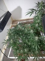 20260209_055919.jpg 20260209_055919.jpg