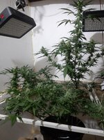 20260209_055906.jpg 20260209_055906.jpg