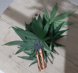 20260209_055711.jpg 20260209_055711.jpg