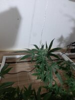 20260209_055727.jpg 20260209_055727.jpg