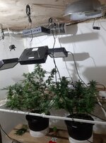 20260209_055826.jpg 20260209_055826.jpg