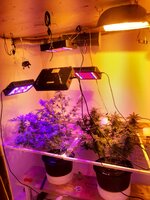 20260209_055742.jpg 20260209_055742.jpg