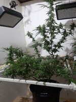 20260209_061144.jpg 20260209_061144.jpg