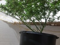 20260209_061117.jpg 20260209_061117.jpg