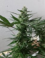 20260209_061103.jpg 20260209_061103.jpg