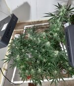 20260209_062549.jpg 20260209_062549.jpg