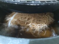 20260209_062617.jpg 20260209_062617.jpg