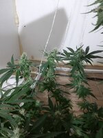 20260209_062604.jpg 20260209_062604.jpg