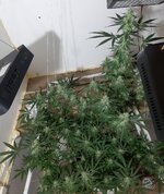 20260209_063440.jpg 20260209_063440.jpg